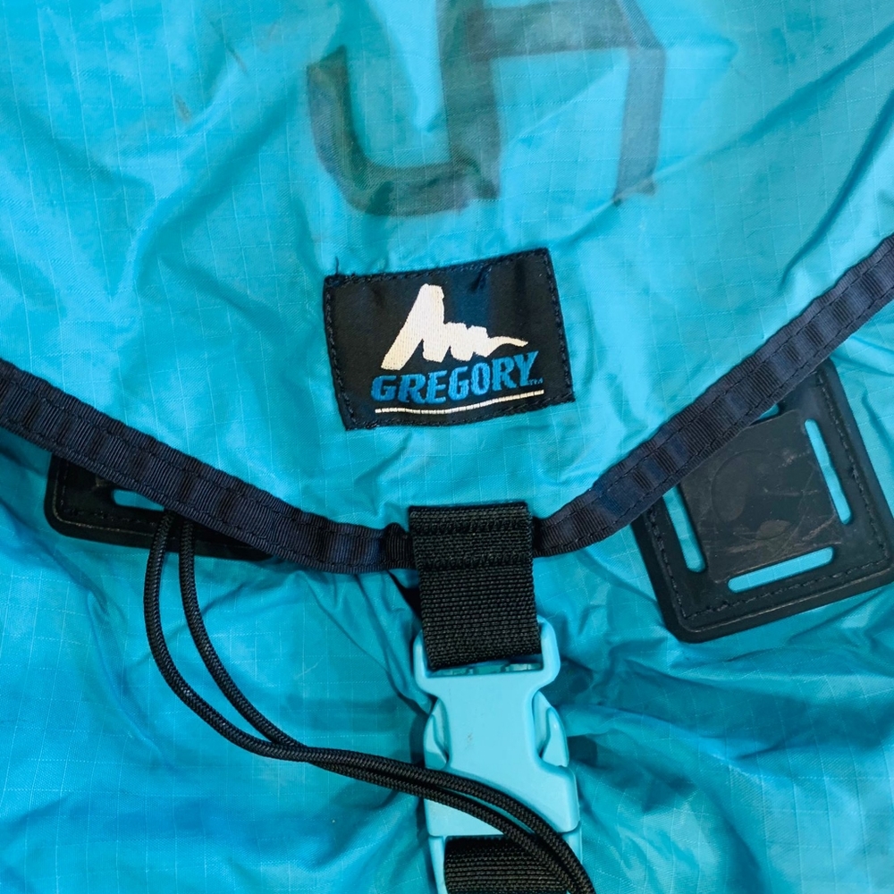 Gregory Backpack - image 4